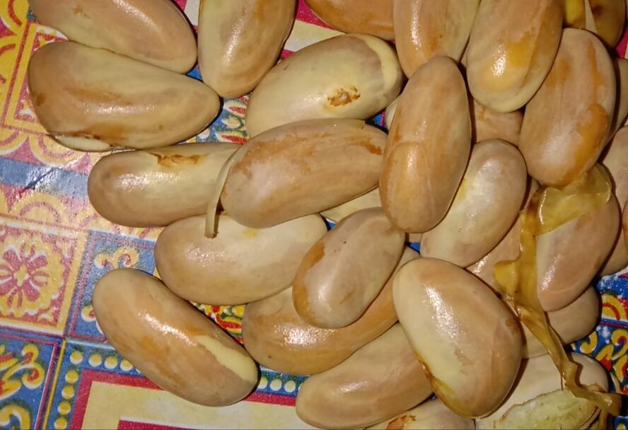 Nangka Goreng, Cemilan yang Unik dan Enak Rasanya, Ini Cara Membuatnya!