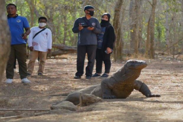 Perjelas Batas Lahan Kawasan Wisata Labuan Bajo, BPOLBF Bahas dengan Forkopimda Mabar