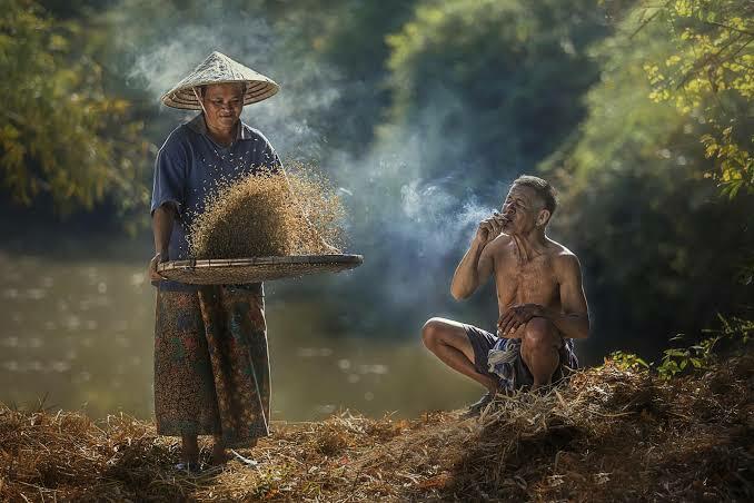 Bapak Presiden Jokowi: Berharap Para Generasi Muda Indonesia Lebih Minat Jadi Petani