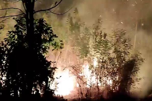 Diterjang Puting Beliung, Puluhan Rumah di Bengkulu Utara Porak Poranda