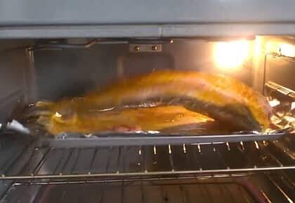 Mengerikan, Potongan 'DAGING' Ikan Ini Kembali Bergerak Dan Melompat Di Oven !