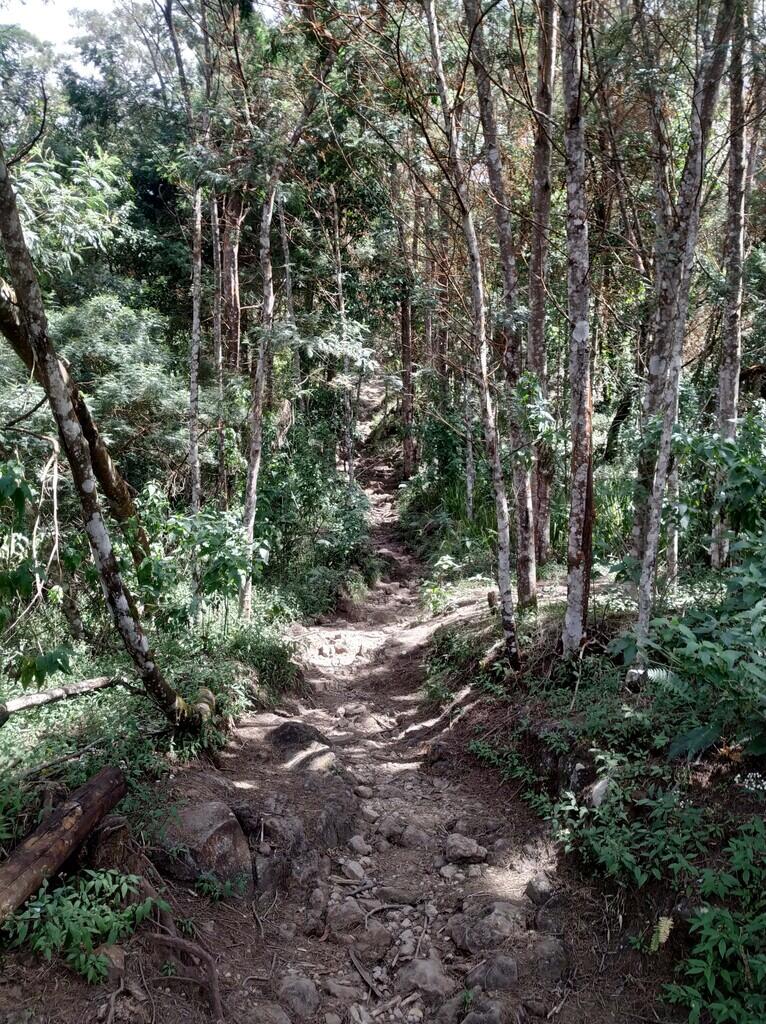 NGECAMP DI SAMPING KAWAH ! CATATAN PERJALANAN GUNUNG SUMBING VIA BANARAN 2021