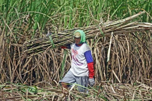Erick Thohir Minta BUMN Pangan Jangan Saingi Petani