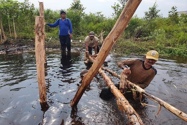 Cegah Kebakaran Hutan, Badan Restrorasi Gambut dan Mangrove Bangun Sekat Kanal