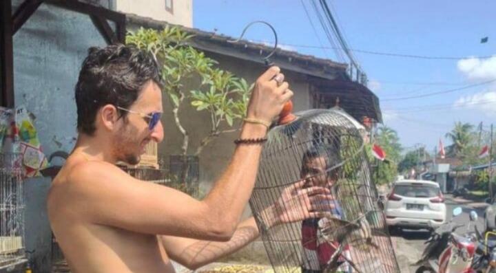 Viral Bule di Bali Kerap Beli Burung Lalu Dilepasliarkan, BKSDA Apresiasi