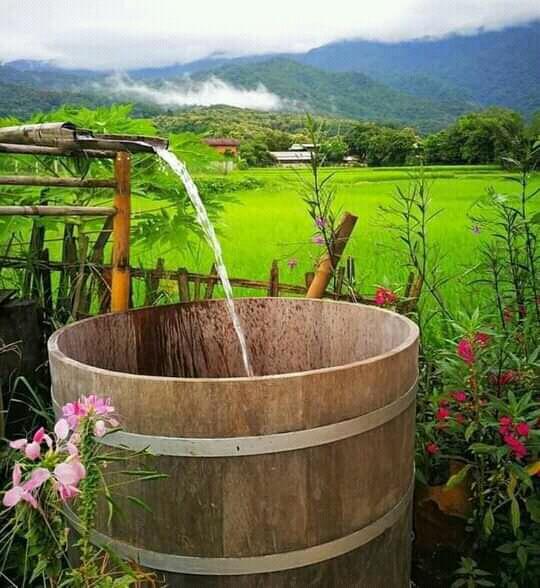 Pemandangan Ala Pedesaan Dan Kebun Seperti Ini Bikin Mata Segar Kembali. Ehm, Fresh! 