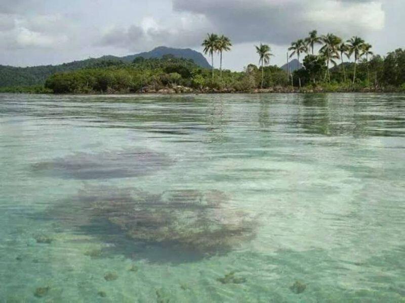 Pulau Tambelan Dikabarkan Dilelang, Gubernur Kepri Minta Aparat Hukum Turun Tangan