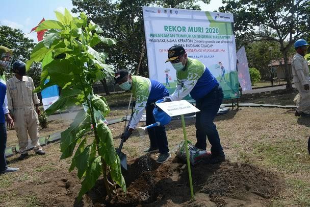 Tanaman Wijaya Kusuma Asli, Kini Mulai Langka