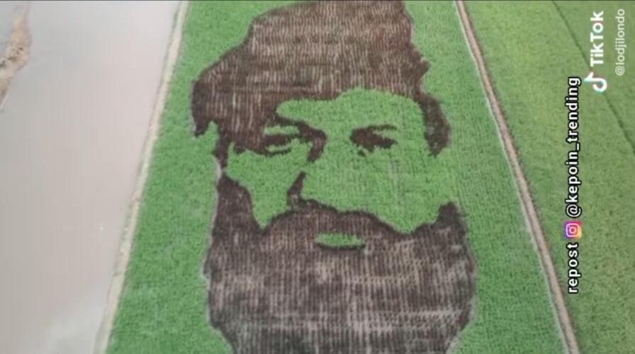 Melukis dengan Media Sawah? Tanbo Art, Seni Lukis yang Membutuhkan Ketelatenan