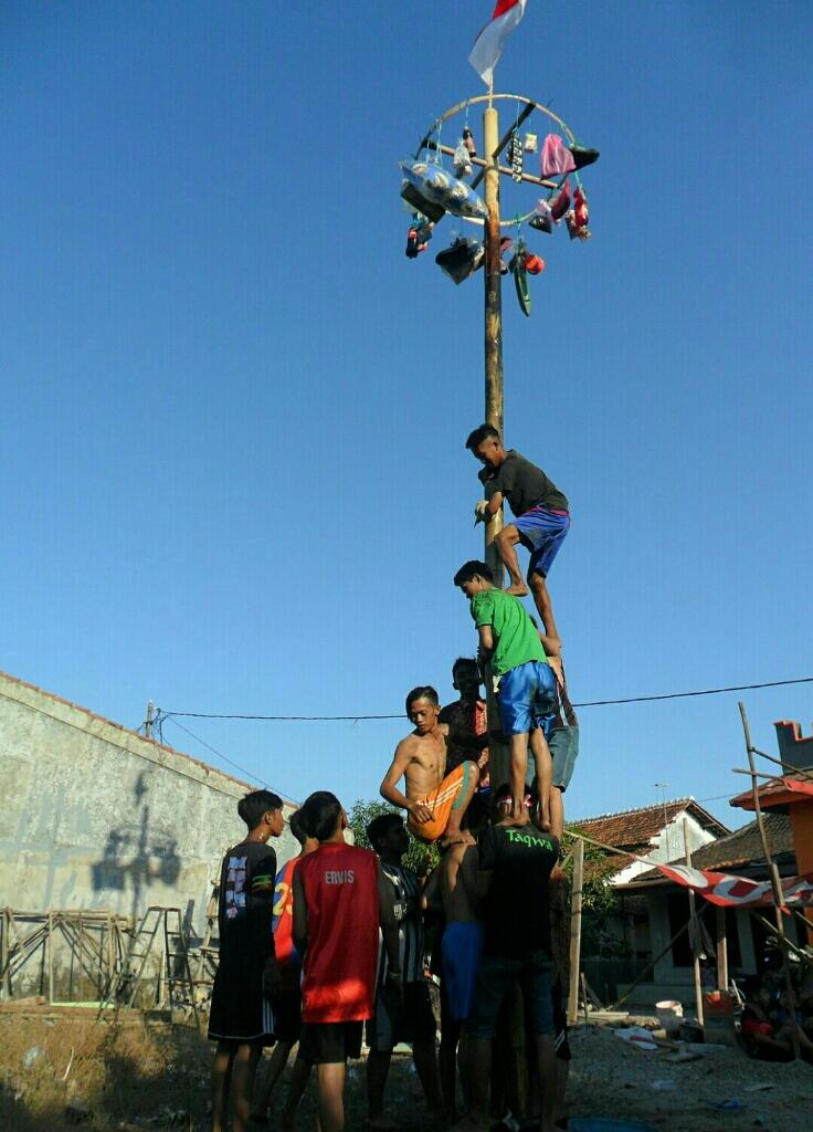 Kerusuhan Lomba Panjat Pinang Yang Seru!