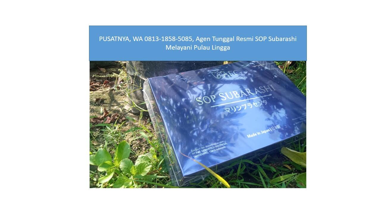 PUSATNYA, WA 0813-1858-5085, Agen Tunggal Resmi SOP Subarashi Melayani Pulau Lingga