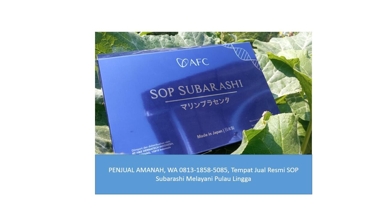 PENJUAL AMANAH, WA 0813-1858-5085, Tempat Jual Resmi SOP Subarashi Pulau Lingga