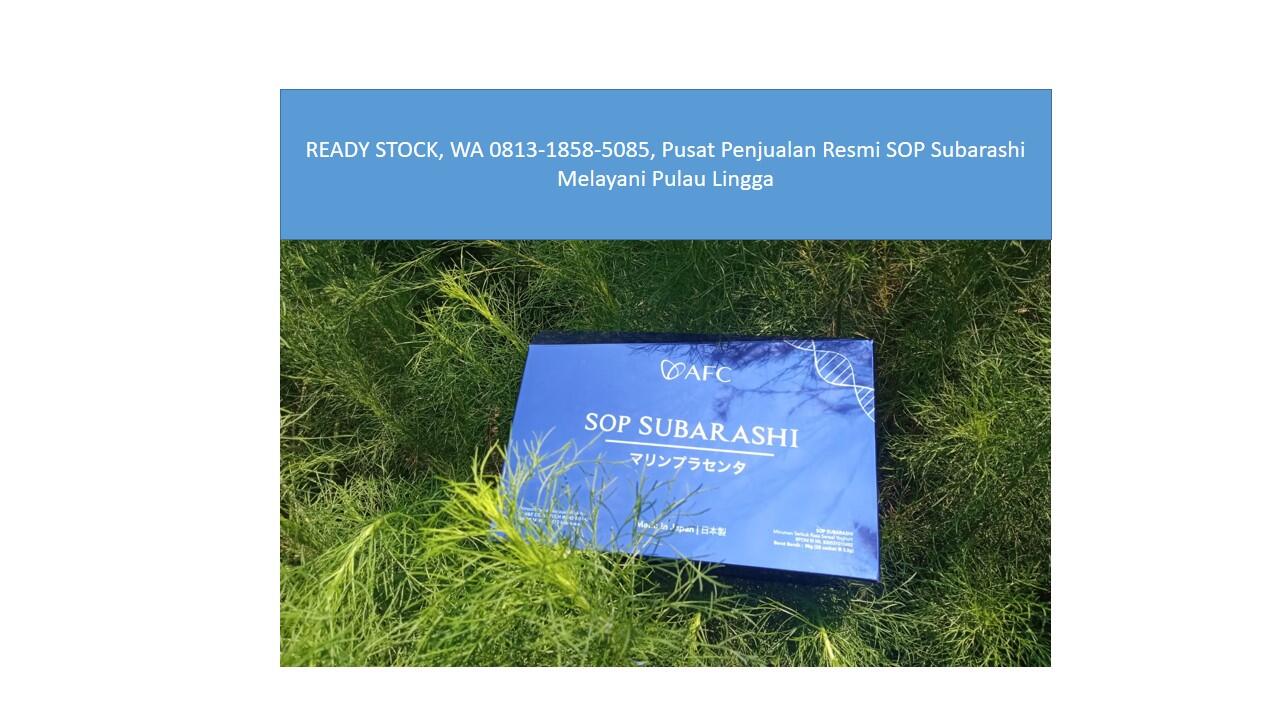 READY STOCK, WA 0813-1858-5085, Pusat Penjualan Resmi SOP Subarashi Pulau Lingga