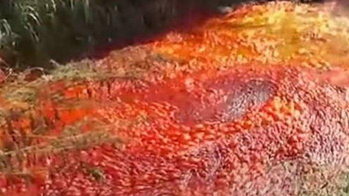 NGERI! Sungai di Israel &amp; Pantai di China Tiba-tiba Berubah Jadi Merah Darah,,,