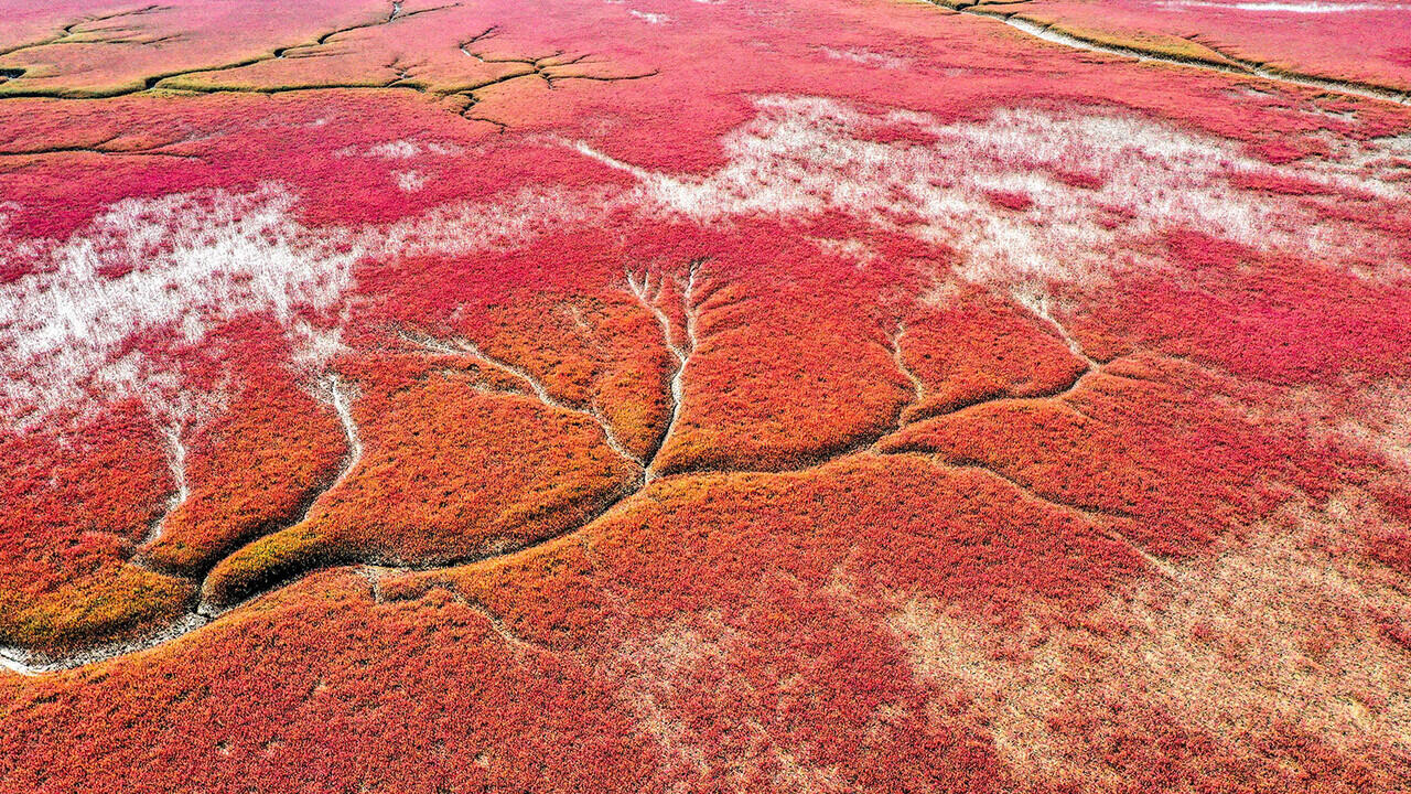 NGERI! Sungai di Israel &amp; Pantai di China Tiba-tiba Berubah Jadi Merah Darah,,,