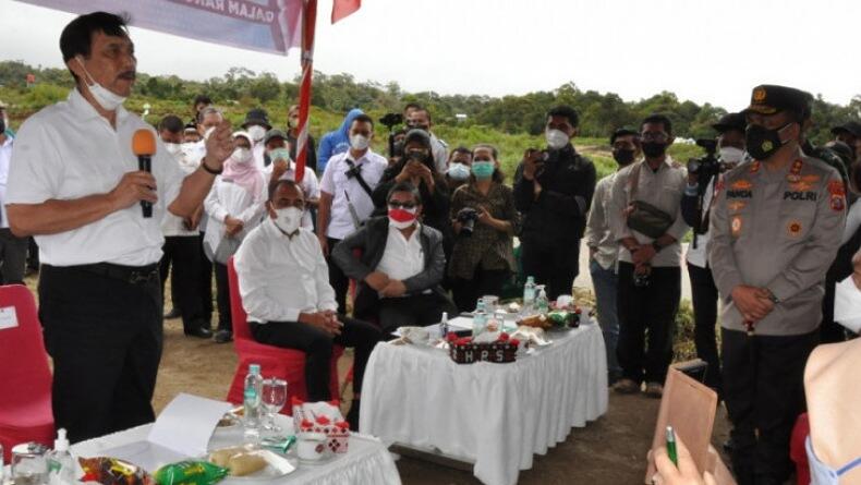 Tinjau Food Estate, Luhut Panen Kentang dan Dialog Bersama Petani