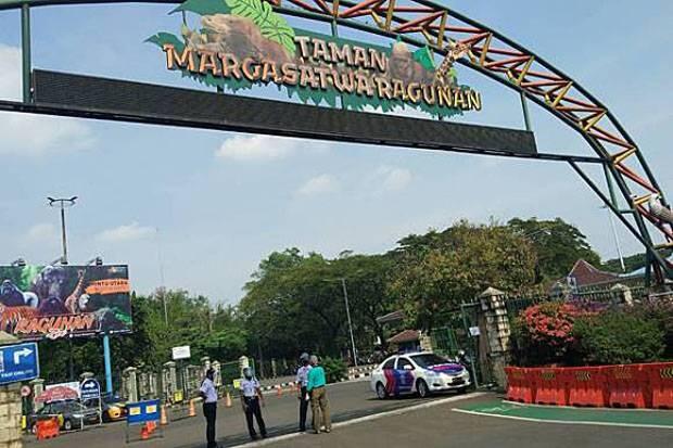 Taman Margasatwa Ragunan Masih Ditutup untuk Rekreasi dan Kegiatan Olahraga