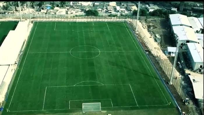 Burung Gagang Bayam, Untuk Perawatan Lapangan Sepakbola Jakarta International Stadium
