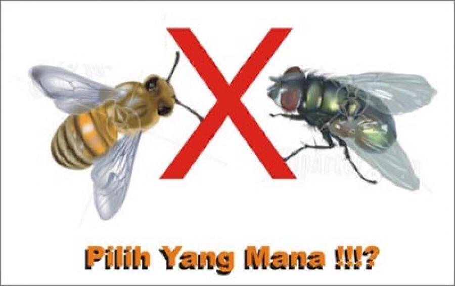 MAU MENJADI LEBAH ATAU LALAT