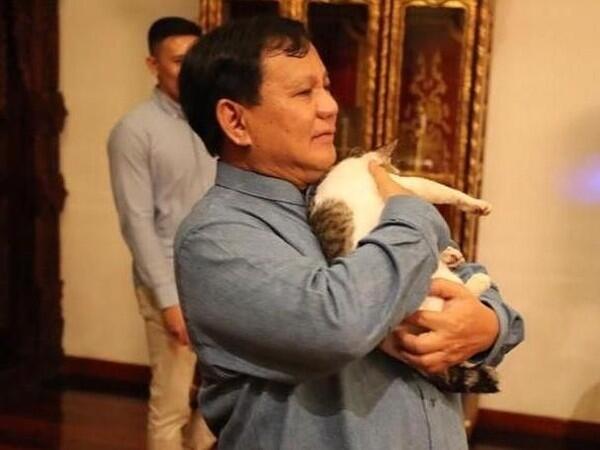 Prabowo Kenalkan Kucing Mika-Miki-Miko, New Member Selain Bobby The Cat