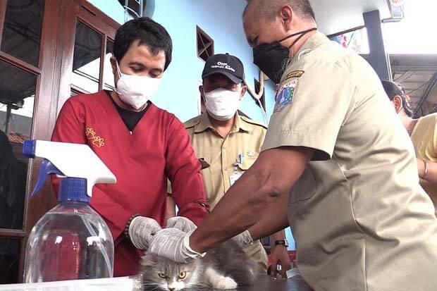 Pemkot Jakarta Utara Suntik Rabies 58 Hewan Peliharaan Masyarakat Sunter Jaya