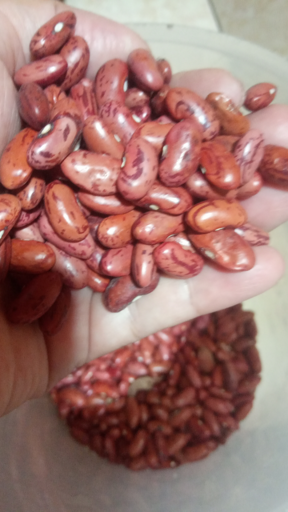 Brongkos Kacang Merah, Tak Kalah Deh Nikmatnya
