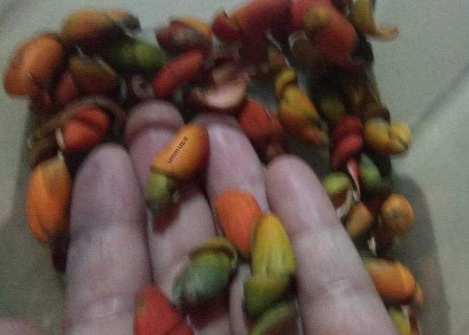 Brongkos Kacang Merah, Tak Kalah Deh Nikmatnya