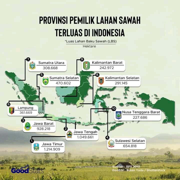 Mencari Tahu Provinsi di Indonesia yang Masih Memiliki Lahan Baku Sawah Terluas
