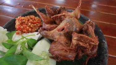 Saat Kalelawar, bulus, dan Cobra menjadi santapan kuliner di Jogja