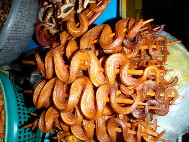 Saat Kalelawar, bulus, dan Cobra menjadi santapan kuliner di Jogja