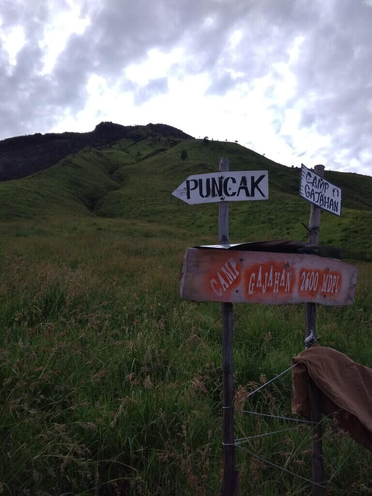 Cerita pengalaman ikut open trip mendaki gunung Sumbing.