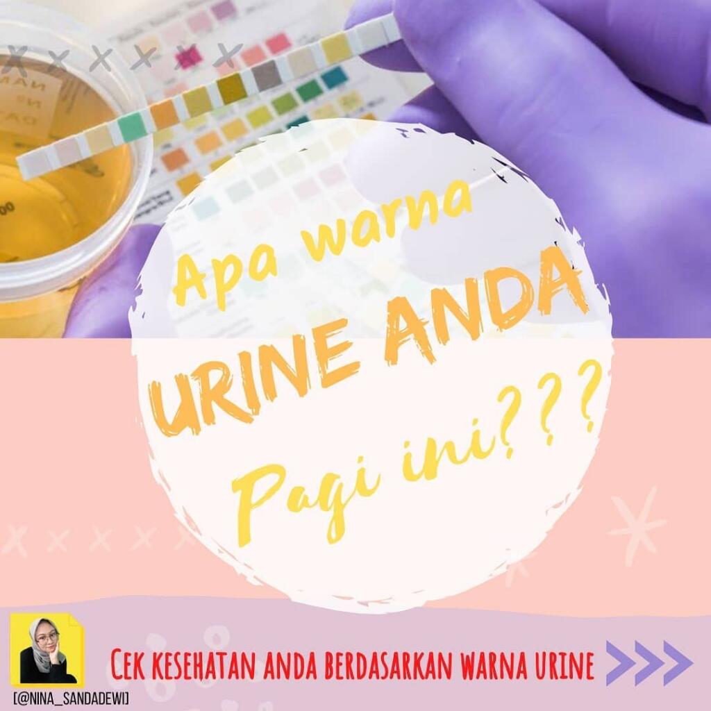 Apa Warna Urine Anda Hari Ini?