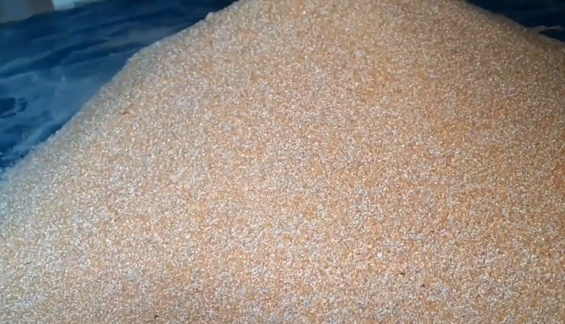 Makanan Burung Puyuh