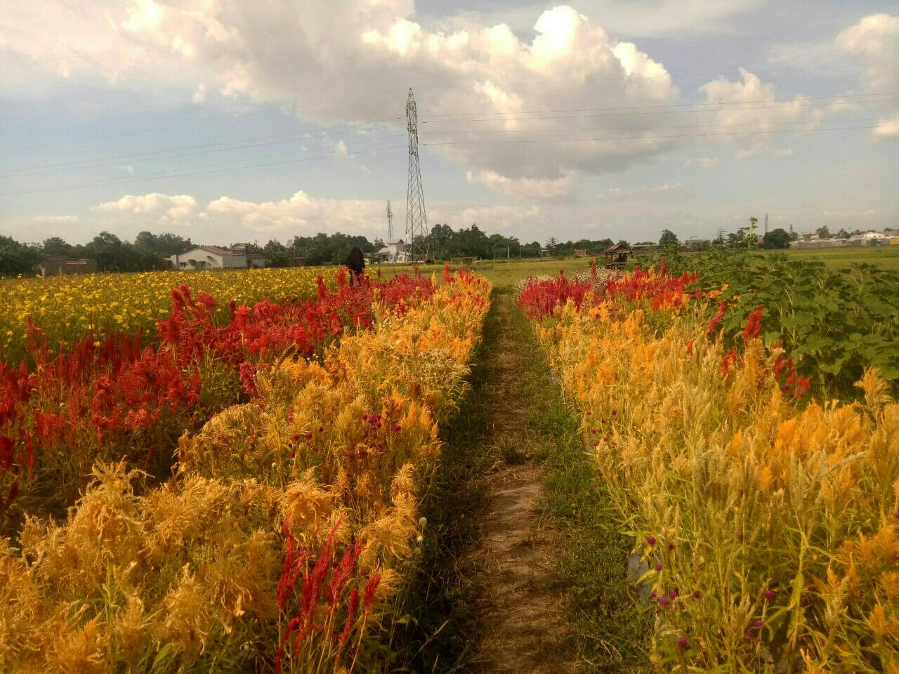 Kumpulan Kata-Kata Motifasi