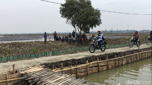 Sudah Tahu? Ada Jembatan dan Empang Jokowi di Ujung Utara Bekasi