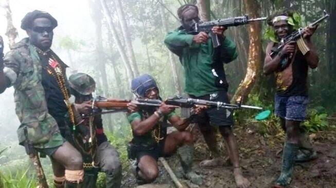 Pasok Senpi ke KKB Papua, Oknum ASN Pemkab Yahukimo Ditangkap saat Bawa Truk
