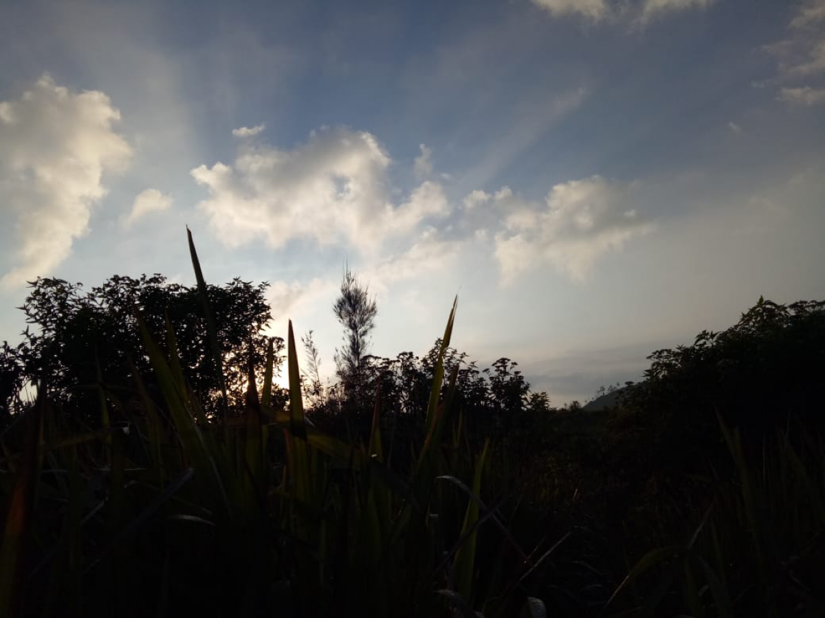 Pendakian Di Gunung Pundak, Jawa Timur 