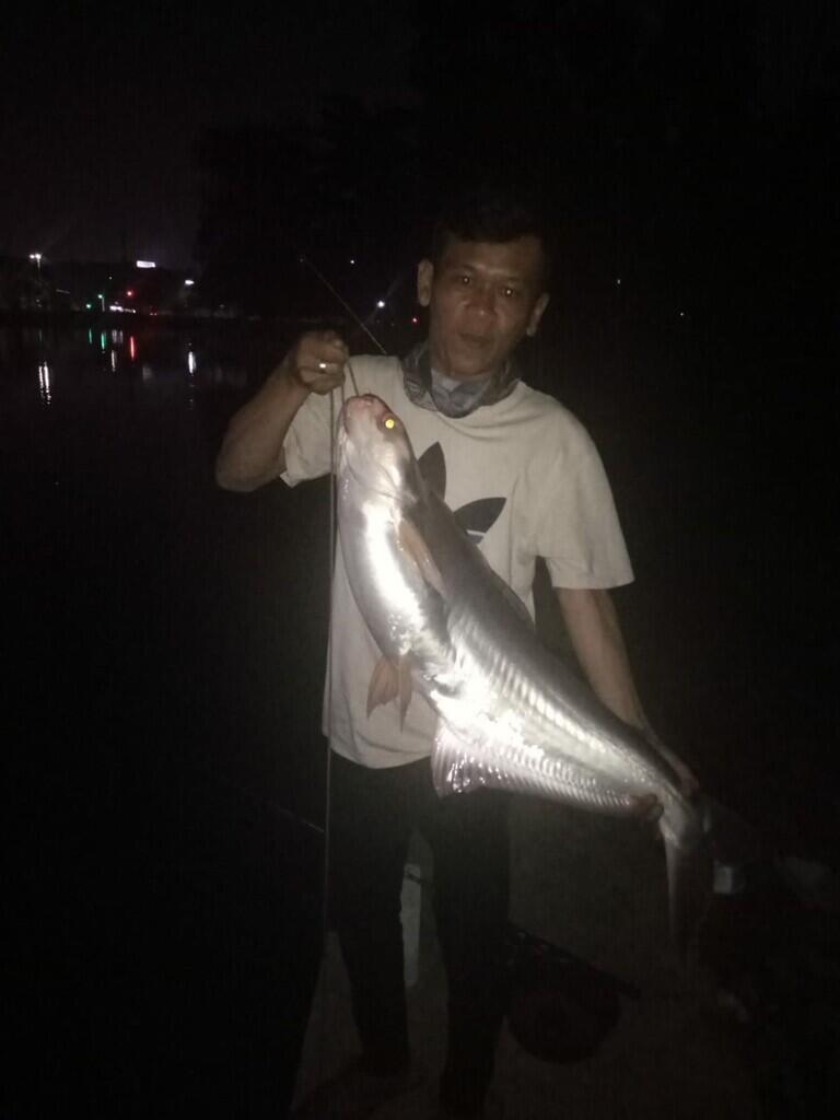 Pengalaman Mancing di danau sunter Jakarta utara dapet ikan patin +_ 10kg