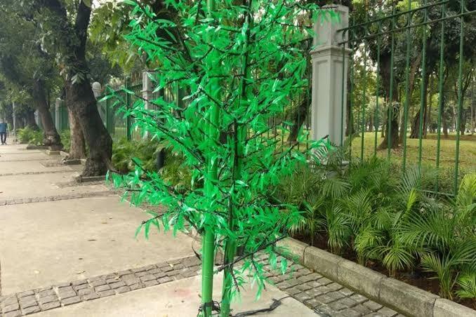 Duh! Cantiknya Tabebuya yang Mulai Bermekaran di Jalanan Protokol Kota Surabaya