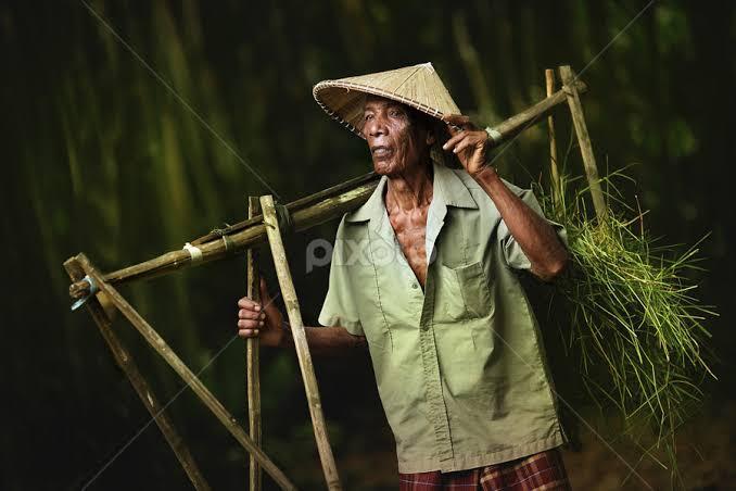 Andai Jepang Tidak Datang Invasi Ke Hindia Belanda, Apa Yang Terjadi? 