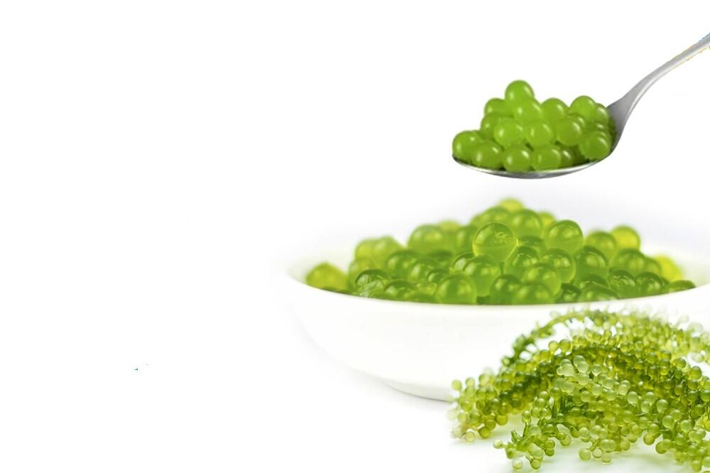 Wah, Sehat dan Nikmat dengan Boba Anggur Laut 