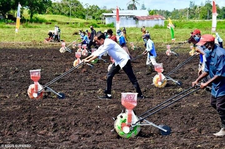 Momen Jokowi Bersama Puan dan Mentan Santap Jagung Rebus di Tepi Jalanan Sorong