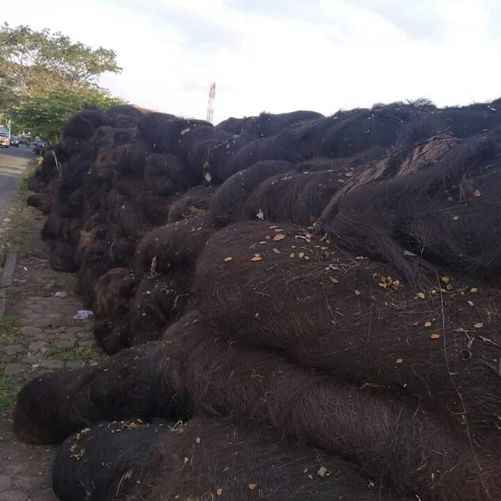 JUAL IJUK ATAP GASEBO TERMURAH DI JOGJA