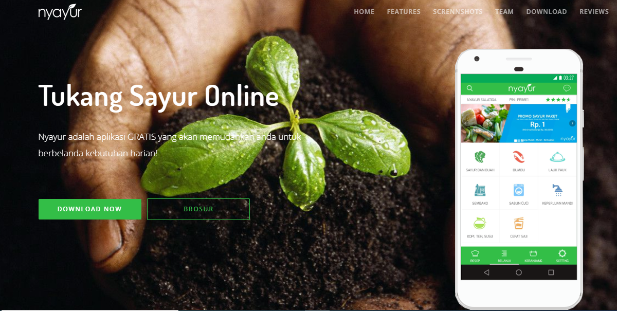 MALAS KELUAR RUMAH? YUK BELANJA SAYUR ORGANIK DI SITUS-SITUS ONLINE DI BAWAH INI!