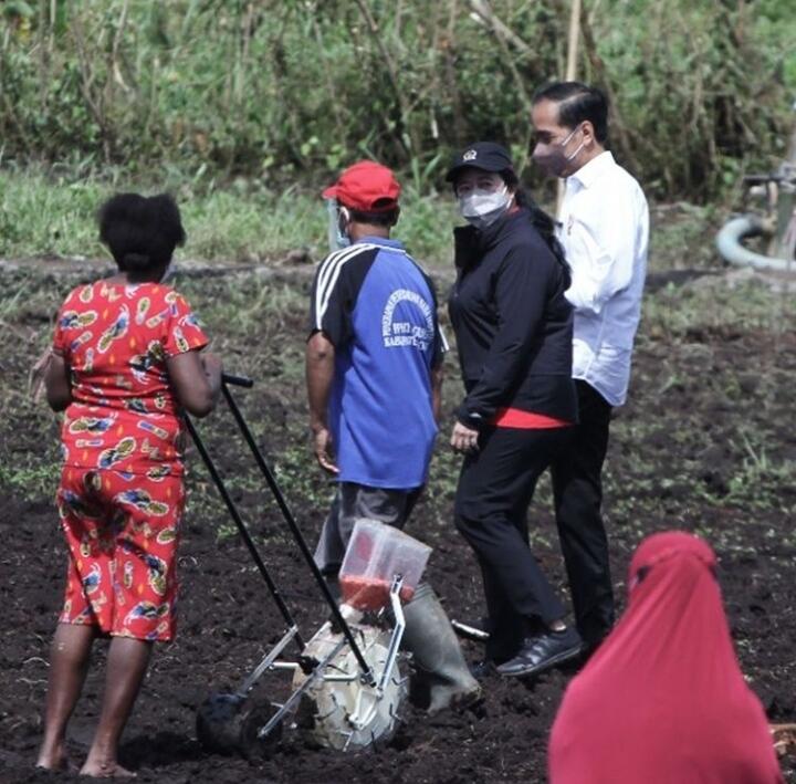 Jokowi dan Puan Maharani Coba Bajak Sawah di Sorong Papua