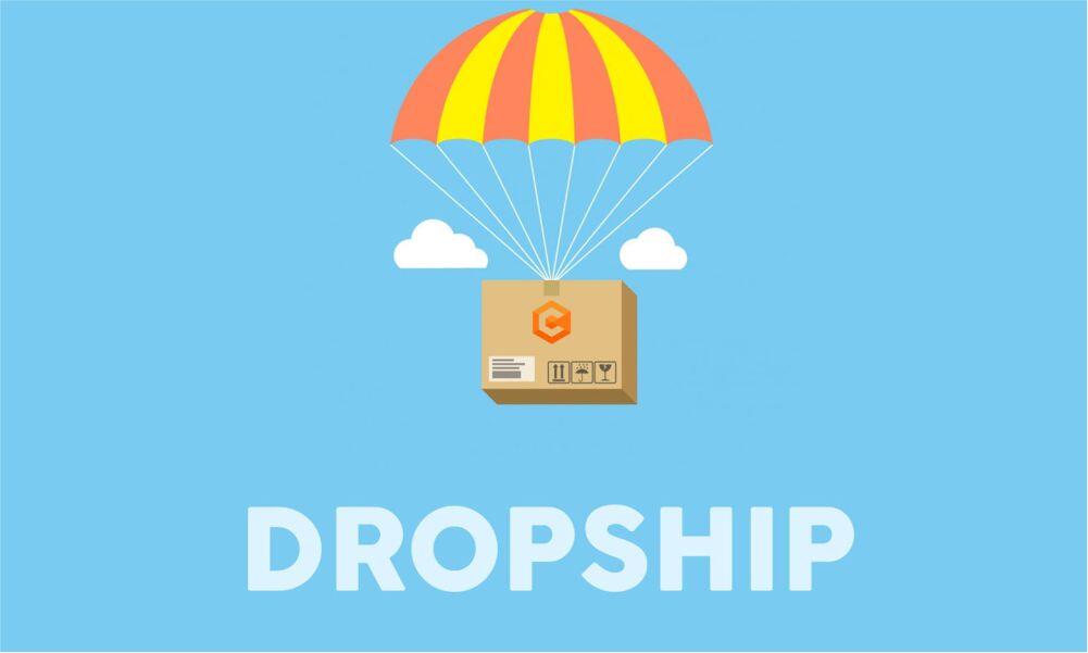 Bingung Cari Cuan? Mending Dropship Aja