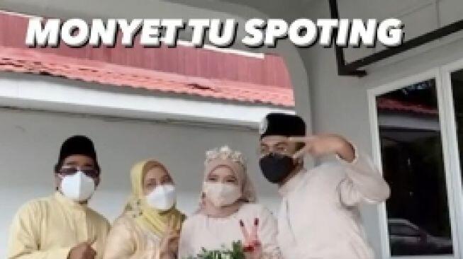 Viral Penampakan Monyet Saat Live Pernikahan di Instagram