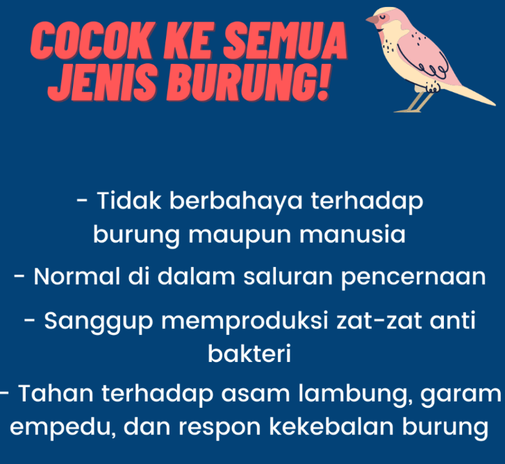 3 TETES BONGKAR KICAUAN GACOR STABIL DAN MAKSIMAL