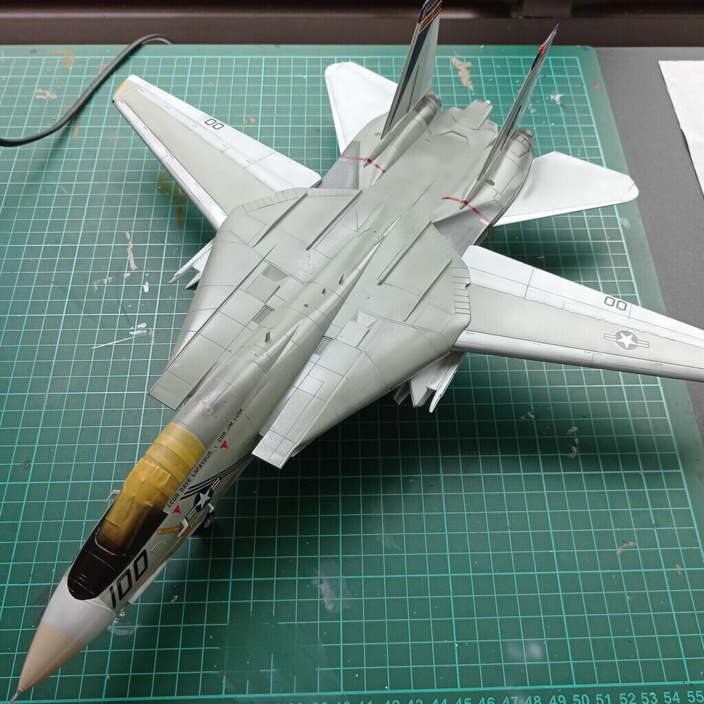 Model Kit F-14A Tomcat &quot;Pukin Dogs&quot;