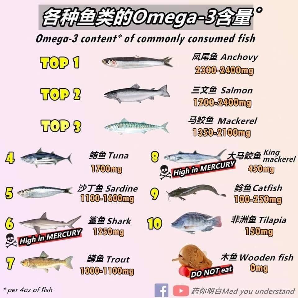 Apa Enaknya Makan Mentah ala Orang Jepang?